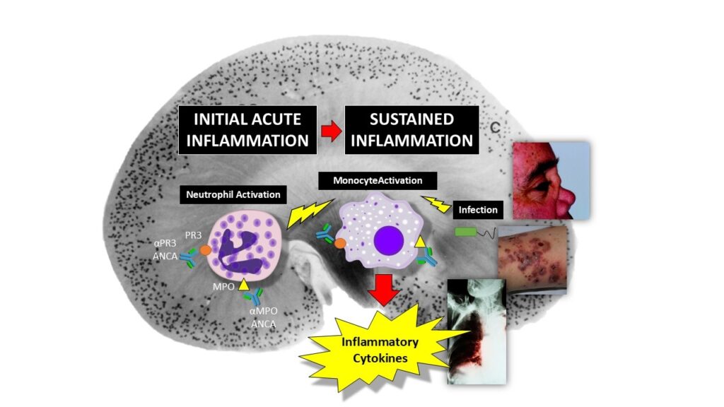 Pathology FIG