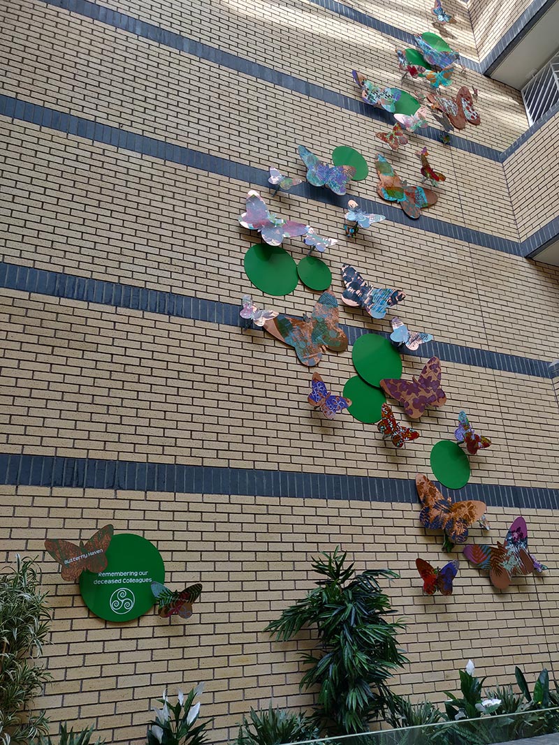 Butterfly Haven, a site-specific artwork allowing space for quiet reflection and the remembering of deceased colleagues, created by artist Lucy Turner in collaboration with TUH End of Life Coordinator Anne Hickey with support from Arts & Health Manager Alison Baker Kerrigan